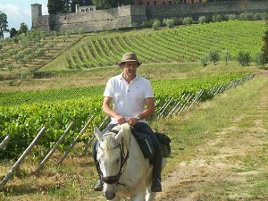 Reiter mit Pferd vor Schloss